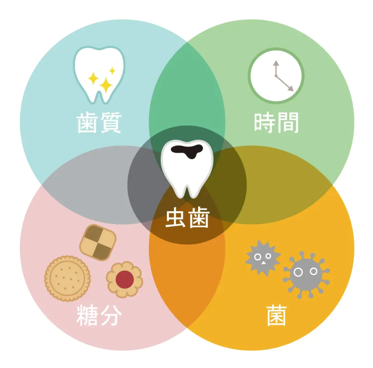 虫歯が発生する原因